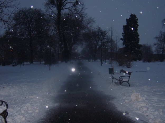 6379.bjelovarpark donikahrfoto