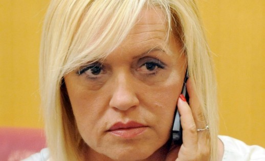 7338.smiljanec cavlovic